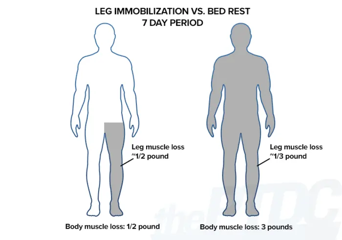How to Fight Muscle Loss with Age: Expert-Backed Prevention Guide 2 Signs You're Losing Muscle Mass