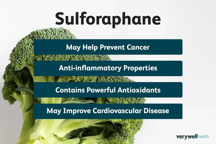15 Science-Proven Anti-Aging Foods That Supercharge Your Vitality 10 Broccoli and Cruciferous Allies: The Sulforaphane Solution