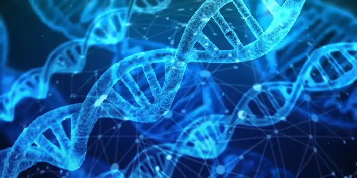 Dangerous Longevity Myths That Are Cutting Years Off Your Life (2025 Research) 2 Discover science-backed anti-aging strategies for optimal wellness after 40. Expert insights on hormones, nutrition, and longevity. Dangerous Longevity Myths That Are Cutting Years Off Your Life (2025 Research)
