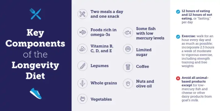 The Science-Backed Guide to Biohacking for Women 3 Creating Your Optimal Diet Plan