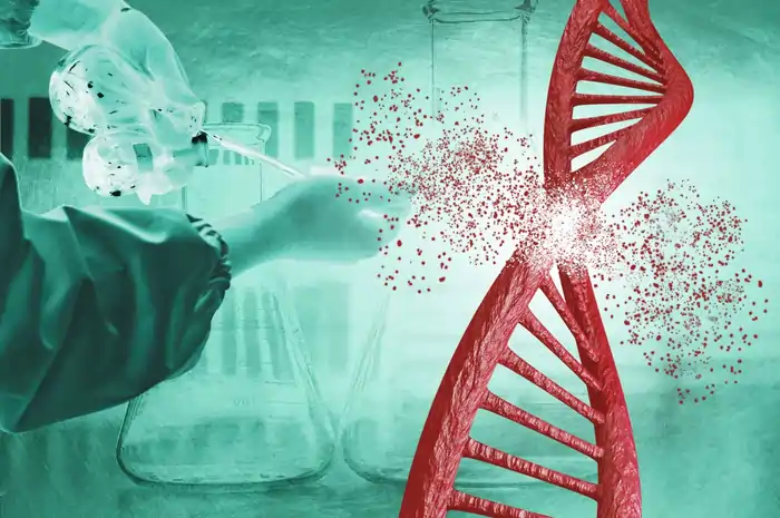 Why Silicon Valley's Secret Biohacks becoming Affordable biohacking techniques in 2025 2 The Dark Side of Mainstream Biohacking