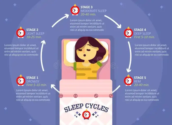 How To Get Better Sleep: A Science-Backed Guide for Better Rest 2 Understanding the Four Sleep Stages