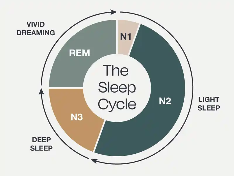 How To Get Better Sleep: A Science-Backed Guide for Better Rest 1 How To Get Better Sleep