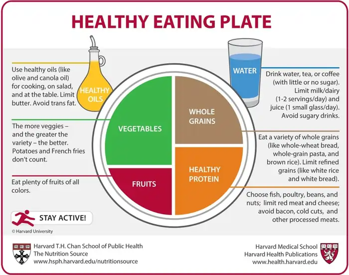 The Science-Backed Diet for Longevity: What Researchers Actually Eat 2 What Makes a Diet a 'Longevity Diet'?
