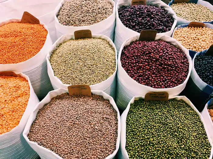 The Blue Zone Diet Secret: Why These People Live Past 100 Years 5 The Power of Beans in Longevity