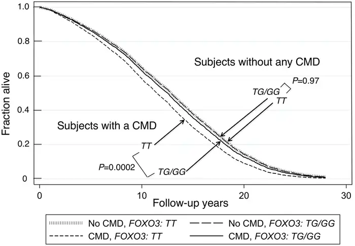 Is Longevity Genetic? 11 Studies That Reveal Your Control Over Aging 3 FOXO3 Gene and Longevity