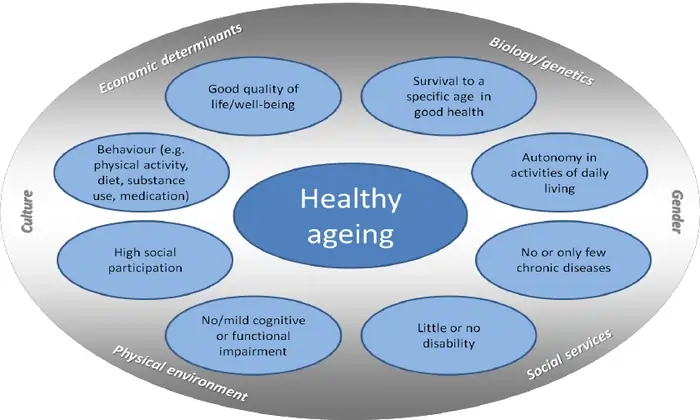 5 Science-Backed Affordable Longevity Hacks That Actually Work in 2025 12 Avoid expensive tests and focus on how you feel