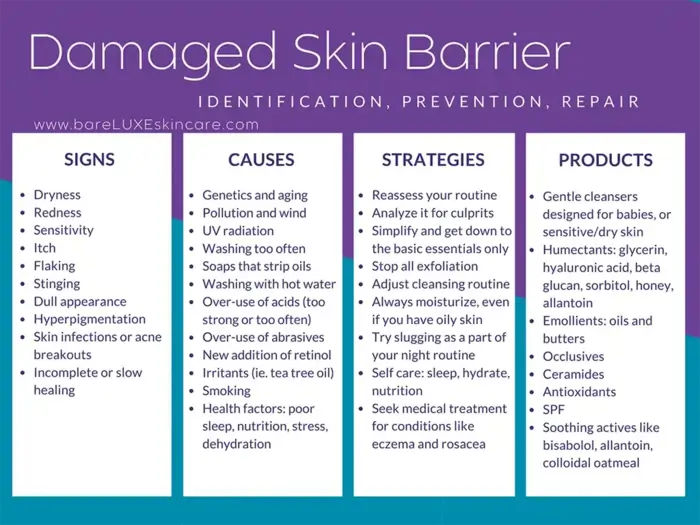 How to Repair Damaged Skin Barrier: An Expert-Backed Guide That Actually Works 6 Best Ingredients for Skin Barrier Repair