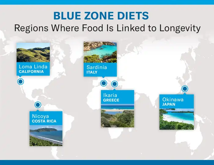 Longevity: The Complete Science-Backed Guide to Living Longer 4 How Diet Influences Longevity?