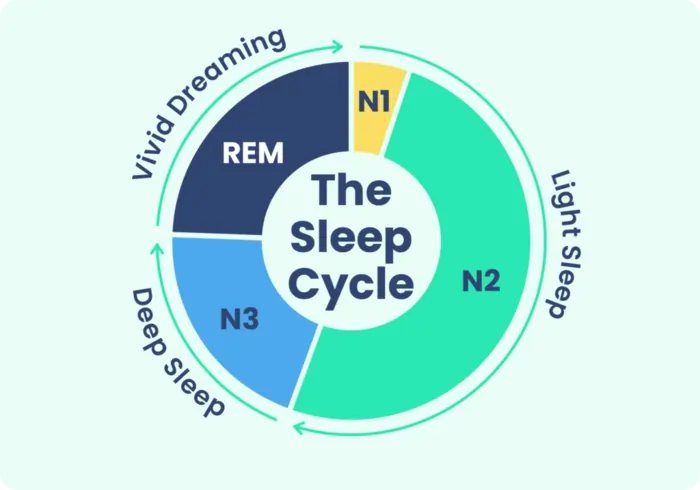 How to Get More Deep Sleep Tonight: A Science-Backed Guide 3 What Happens During Deep Sleep