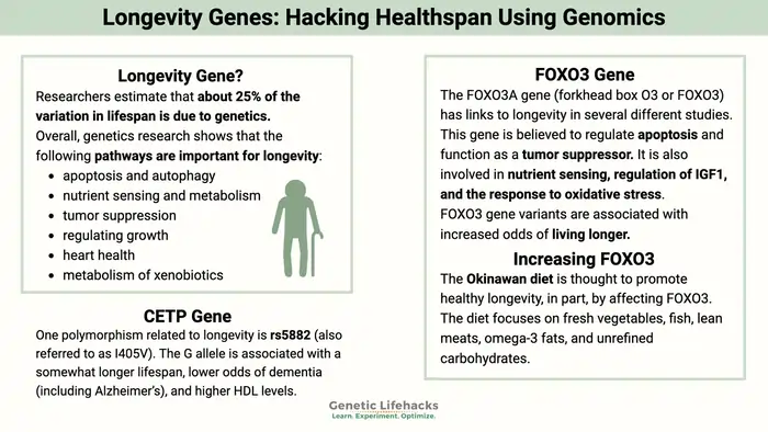 Is Longevity Genetic? 11 Studies That Reveal Your Control Over Aging 6 Centenarian Family Studies