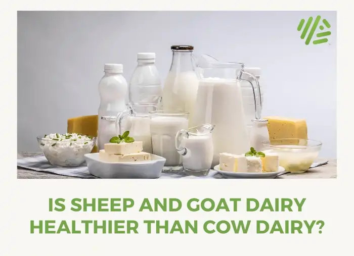 The Blue Zone Diet Secret: Why These People Live Past 100 Years 6 Cutting Back on Dairy and Eggs